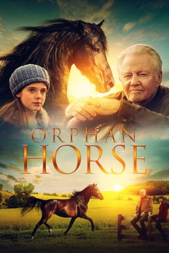 Orphan Horse 2018 (اسب وحشی)