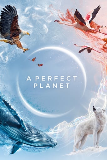 A Perfect Planet 2021 (یک سیاره بی نقص)