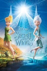 Secret of the Wings 2012 (راز بال‌ها)