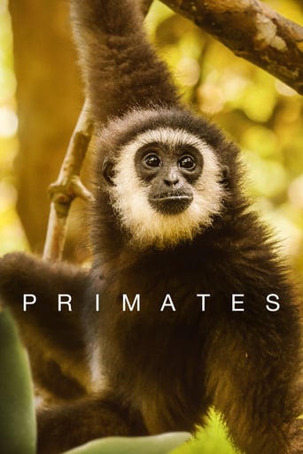 Primates 2020 (نخستی ها)