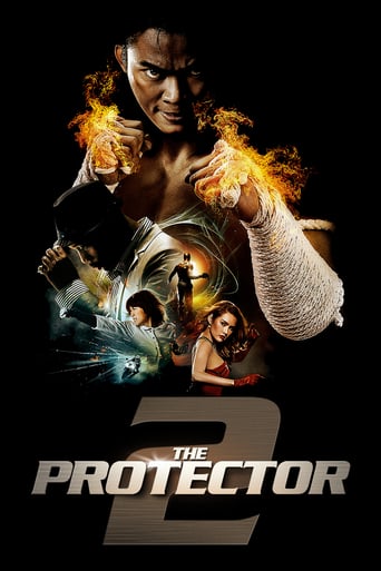 The Protector 2 2013 (حامی ۲)